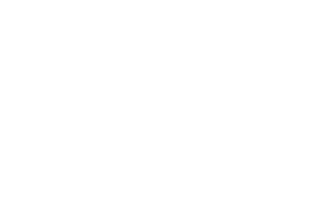 BOLETO