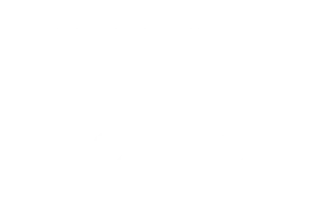 BOLETO